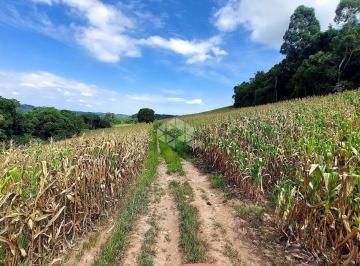 Rural · 145000m² · Área de terra com 14.5 hectares em São Gabriel