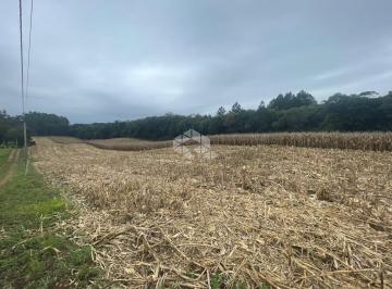 Rural · 40082m² · Área de terras em Cerro Alegre
