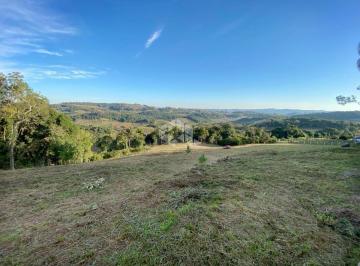 Rural · 20000m² · Sítio de 2ha no Vale dos Vinhedos