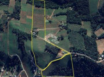 Rural · 120000m² · Área rural em Monte Belo