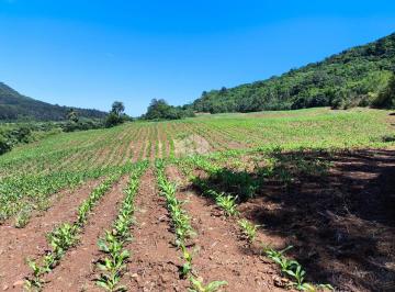 Rural · 58000m² · Área de terra rural com 5.8ha em Linha Marcondesl. Gramado