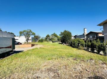 Terreno · 1175m² · Terreno no bairro Santo Antão em Bento Gonçalves