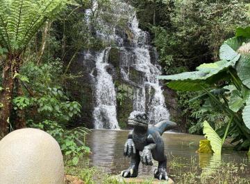 Rural · 22500m² · SÍTIO COM CASCATA E LAGOS EM ALTO PAREDÃO - INTERIOR DE SANTA CRUZ DO SUL