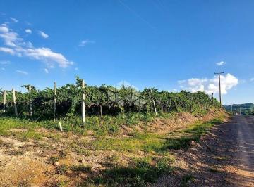 Rural · 13000m² · Área rural no Vale dos Vinhedos