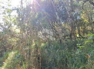 Rural · 274971m² · 27,49 ha de área de terras dede mata nativa de preservação permanente (APP) em Cambará do Sul