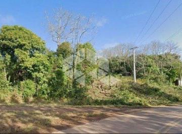 Rural · 5000m² · Chácara de meio hectare em Linha Antão!