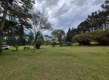 Rural · 310m² · Sitio Bela Fonte de 424 mil m²  a venda em São Francisco de Paula.