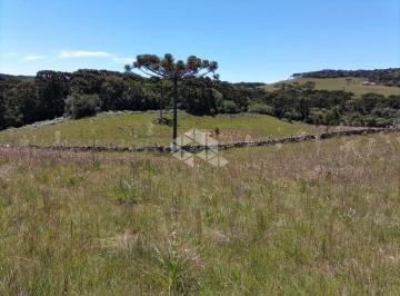 Rural · 1290720m² · Fazenda com 129 ha no Cerrito/Várzea do Cedro em São Francisco de Paula RS