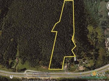 beb4d97a55a63a57cfc379fc02a3a6ab99d88c66 · Terreno Residencial à venda, Itaquaciara, Itapecerica da Serra - TE0040.