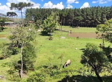 Imagem 1 · Sítio para venda em Pinheirinho, Rio Negrinho