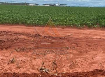 Imagem 1 · Fazenda para venda em Centro, João Pinheiro