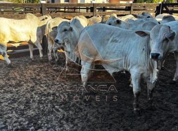 Imagem 1 · Fazenda para venda em Centro, Prata