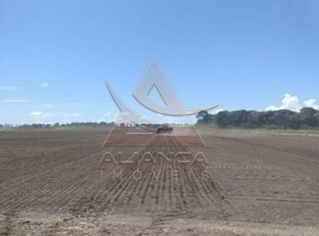 Imagem 1 · Fazenda para venda em Centro, Santa Fé do Araguaia