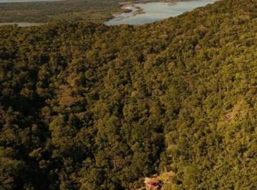 Imagem 1 · Fazenda para venda em Ratones, Florianópolis