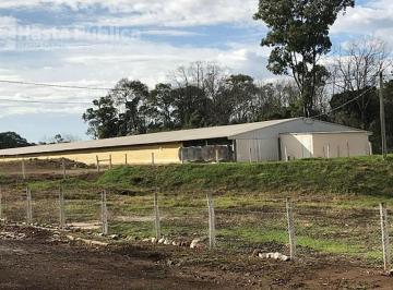Comercial , Francisco Beltrão · Imóvel comercial área total 667.000m², granja e equipamentos - Francisco Beltrão/PR