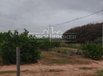 Foto 01 · Sitio, Rodovia Cedral, Cedral, SP