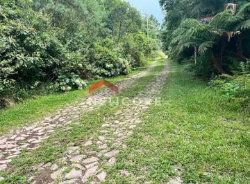 Terreno · 600m² · Lote em Rua J - Colinas - São Francisco de Paula/RS
