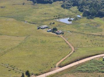 15159/2241a2a2-a661-4c6d-b561-633159b2c233.jpg · 
									Fazenda para venda no bairro Lajeado Grande em São Francisco de Paula
								