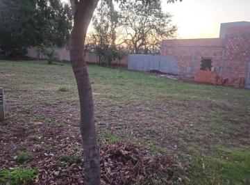 1786107321.jfif · Terreno amplo Quinta da Mata 1 | Aqui na Rosa e Rangel Consultoria e Assessoria Imobiliária