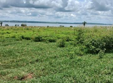 Rural · 121000m² · 2 Quartos · Fazenda / Sítio para venda em Área Rural De Araçatuba de 121000.00m² com 2 Quartos