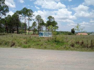 Terreno · 1357m² · Terreno para venda em Castanheiras de 1357.00m²