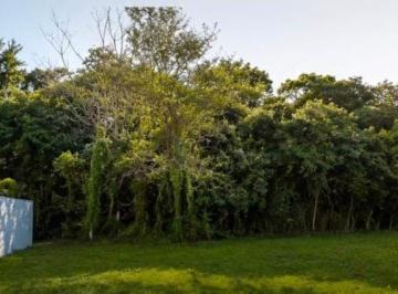 Terreno · 320m² · Terreno en Condomínio para venda em Condomínio London Park de 320.00m²