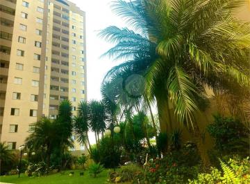 Apartamento · 69m² · 3 Quartos · 1 Vaga · Apartamento para venda em Vila Camilópolis de 69.00m² com 3 Quartos e 1 Garagem