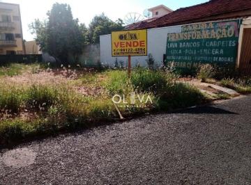 Terreno · 341m² · Terreno para venda e aluguel em Vila Angélica de 341.00m²