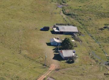 Rural · 130000m² · Chácara | Apanhador | São Francisco de Paula