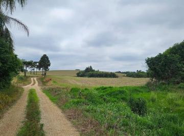 Terreno · 847000m² · 1 Quarto · Chácara para venda em Zona Rural de 847000.00m² com 1 Quarto