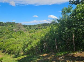 Terreno · 7000m² · 1 Quarto · Chácara para venda em Zona Rural de 7000.00m² com 1 Quarto