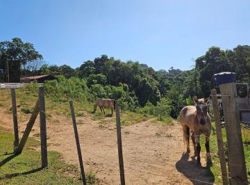 Terreno · 4361m² · 1 Quarto · 6 Vagas · Chácara para venda em Zona Rural de 4361.00m² com 1 Quarto e 6 Garagens