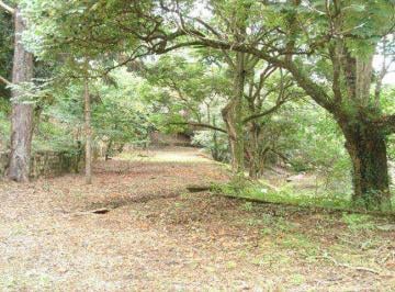 Comercial · 140m² · Galpão / Depósito / Armazém para venda em Recanto Sombra Do Ipê de 140.00m²