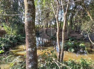 Rural · 24200m² · 2 Quartos · 10 Vagas · Fazenda / Sítio para venda em Paineiras de 24200.00m² com 2 Quartos e 10 Garagens