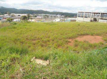 Terreno · 18500m² · Terreno para venda em Chácara Do Solar I (fazendinha) de 18500.00m²