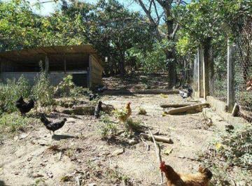 Terreno · 500m² · Terreno para venda em Chácara Das Garças de 500.00m²