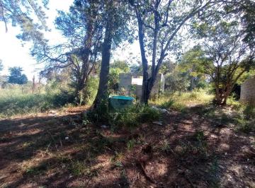 Terreno · 1000m² · Terreno para venda em Parque Sinai de 1000.00m²