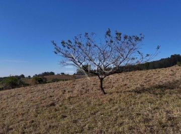Terreno · 20000m² · Terreno en Condomínio para venda em Bairro Dos Pintos de 20000.00m²