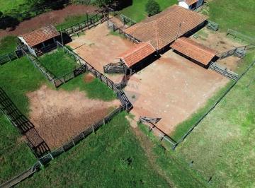Rural · 2180000m² · 3 Quartos · Fazenda / Sítio para venda em Centro de 2180000.00m² com 3 Quartos