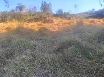 Foto 07 · TERRENO RURAL 25.000 M² À VENDA EM PIEDADE DOS GERAIS/MG