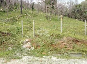 Terreno · 1250m² · Terreno no bairro Enseada do Brito, em Palhoça - SC