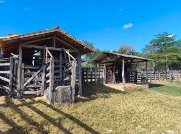 Rural de 6 quartos, Presidente Juscelino · FAZENDA 776 HECTARES, PRESIDENTE JUSCELINO