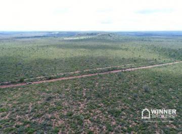 Imagem 1 · Fazenda para venda em Lizarda