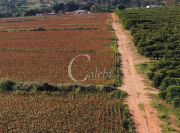 Imagem 1 · Sítio para venda em Área Rural de Conchal, Conchal