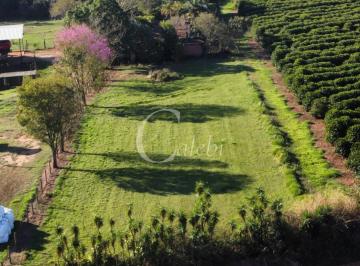 Imagem 1 · Sítio para venda em Área Rural de Conchal, Conchal