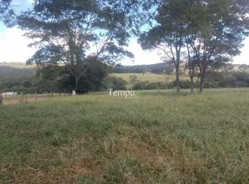 Imagem 1 · Sítio para venda em Centro, Bela Vista de Goiás