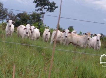 Imagem 1 · Fazenda para venda em Santa Terezinha