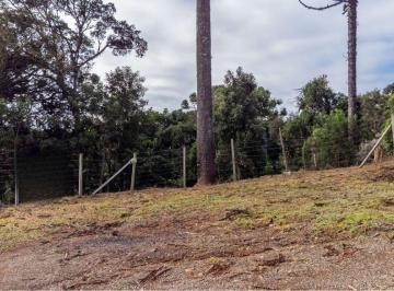Terreno · 5000m² · Terreno para venda em Palmitalzinho de 5000.00m²