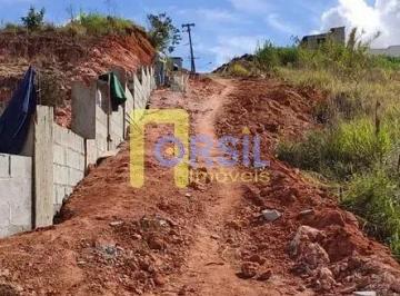 Terreno · 5000m² · Terreno para venda e aluguel em Vila Lavínia de 5000.00m²