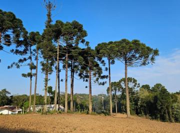 Terreno · 187m² · 3 Quartos · Chácara para venda em Rio Verde Abaixo de 187.00m² com 3 Quartos